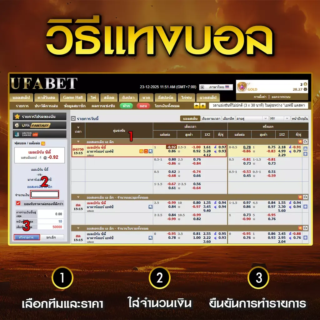 วิธีแทงบอลออนไลน์